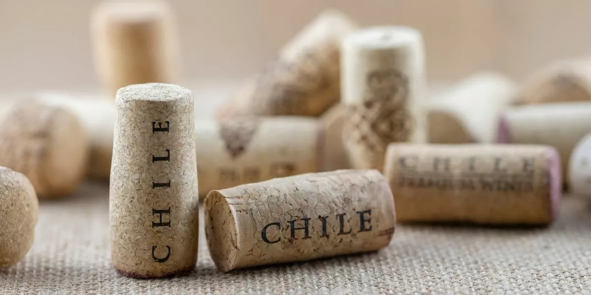 Wine corks with the word chile written on them.