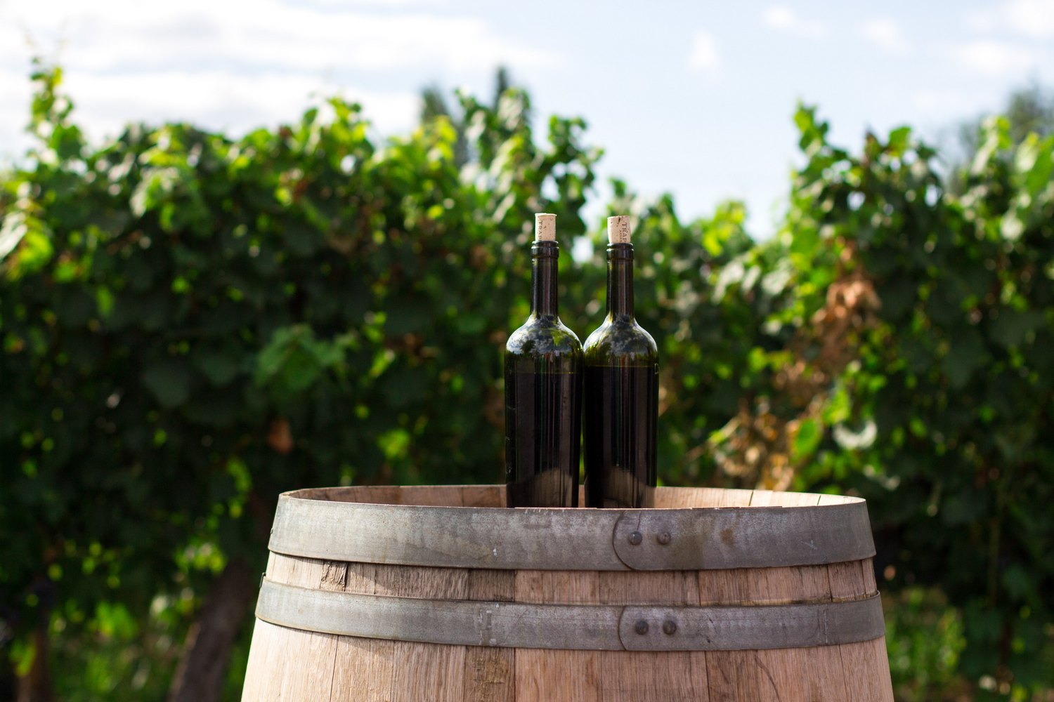 Two bottles of wine sit on top of a wooden barrel.